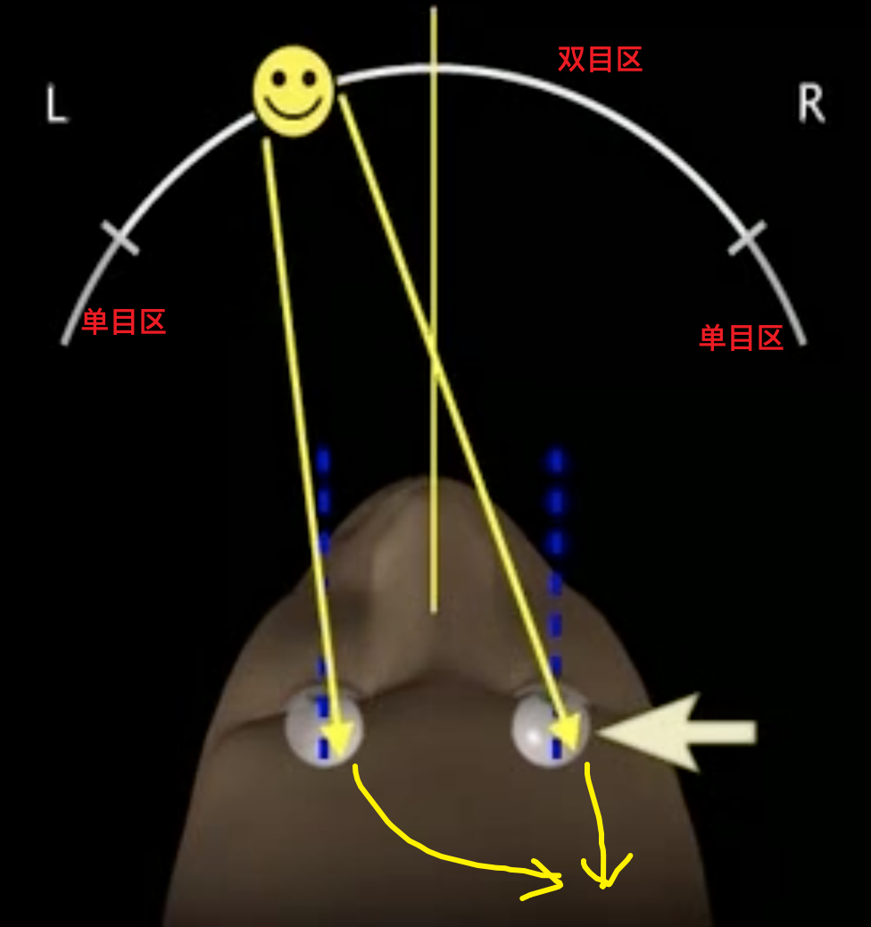 Neuroscience Range S Documents